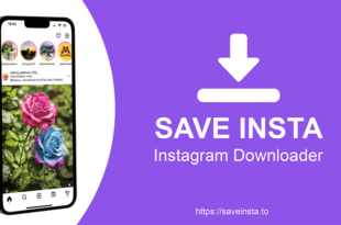 Save Insta: A Simple Tool for Saving Instagram Posts and Stories